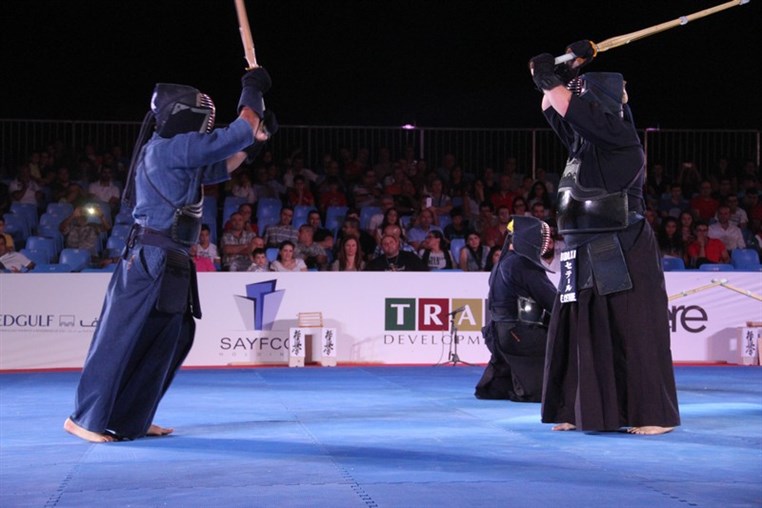 Martial Arts Festival